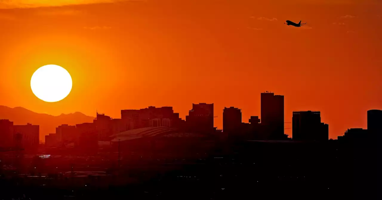 Phoenix heat killing cacti and burning locals who fall on pavement