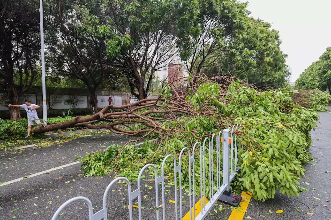 Rain hits northern China as Typhoon Doksuri rolls inland