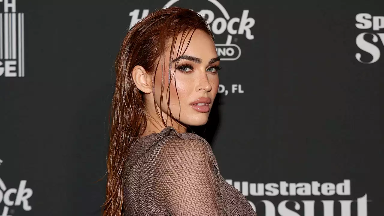 Megan Fox calls followers 'bunch of psychos' after GoFundMe drama