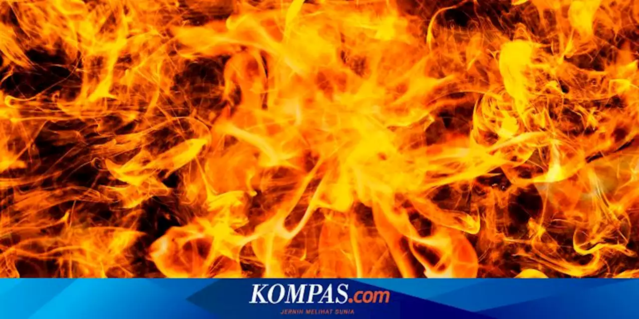 Berniat Usir Semut Pakai Api, 4 Bocah di Karanganyar Bakar 2.000 Meter Lahan Kosong