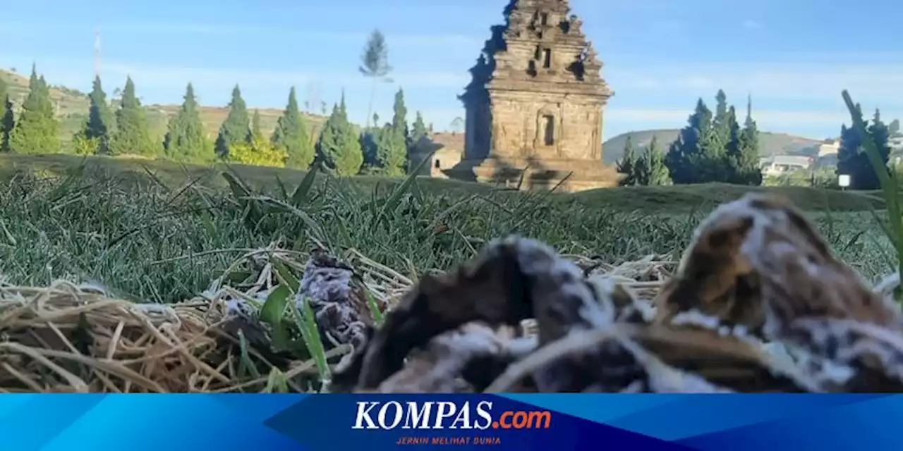 Cuaca Dingin Ekstrem di Dieng, Pendaki Gunung Prau Harus Waspada