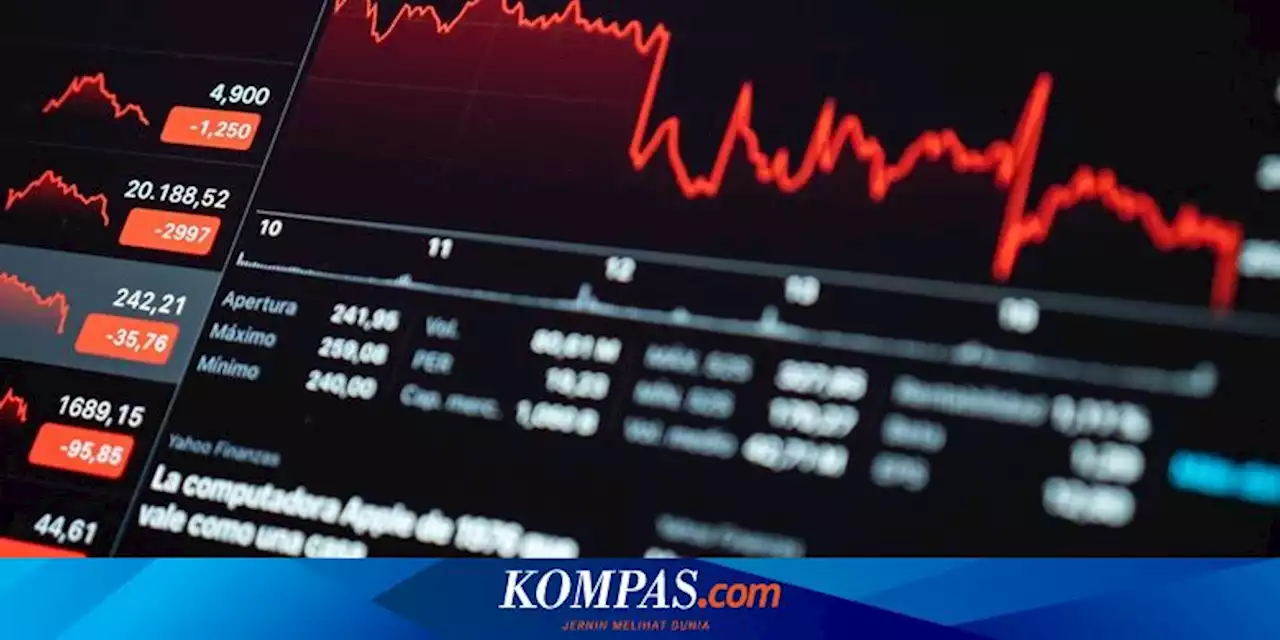 Mengenal Istilah Portofolio dalam Investasi