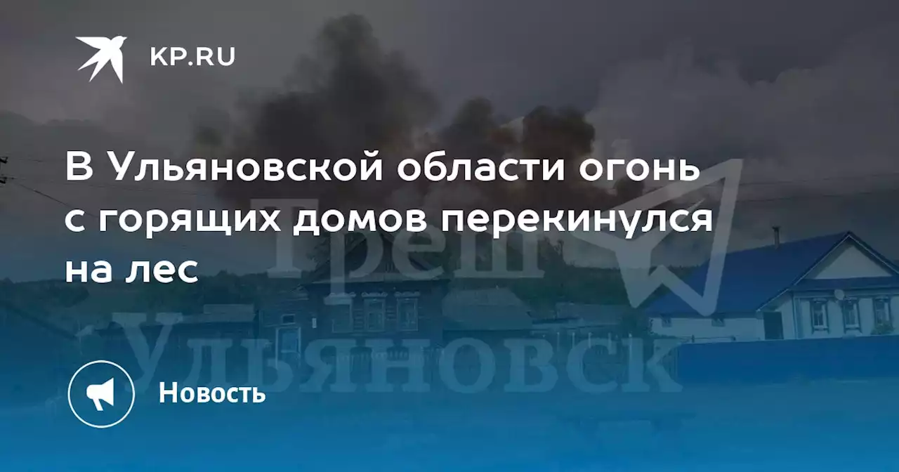 В Ульяновской области огонь с горящих домов перекинулся на лес