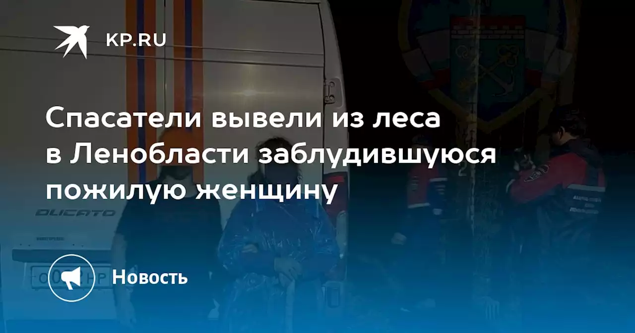 Спасатели вывели из леса в Ленобласти заблудившуюся пожилую женщину