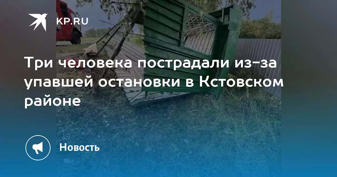 Три человека пострадали из-за упавшей остановки в Кстовском районе