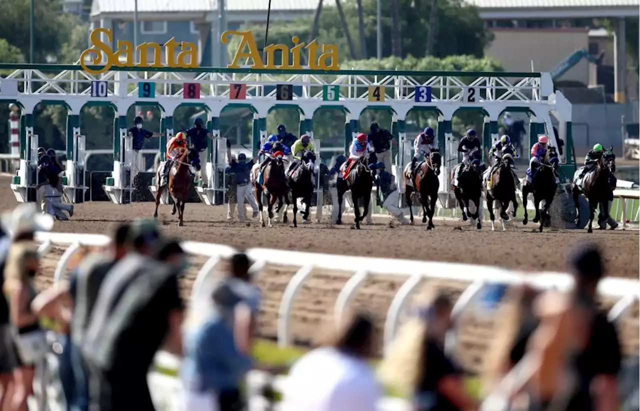 Owners of Santa Anita racetrack announce nearly $32 million in improvements