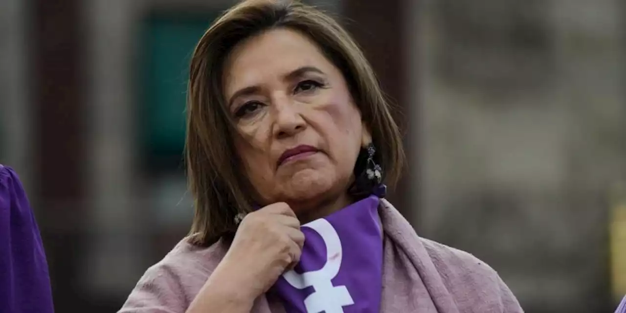 Xóchitl Gálvez ampliará denuncias contra AMLO por violar medidas del INE; confesó delito en mañanera, dice