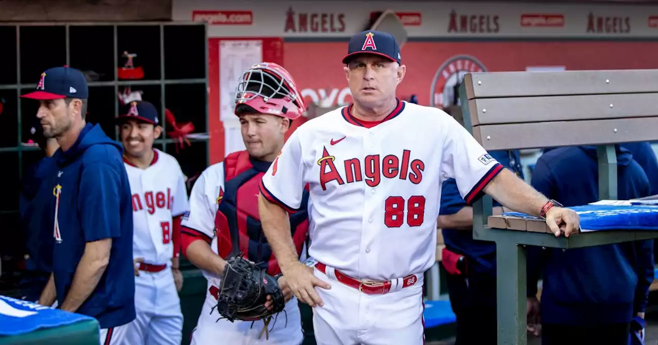 100 wins into his career, Angels manager Phil Nevin finding his 'defining moment'