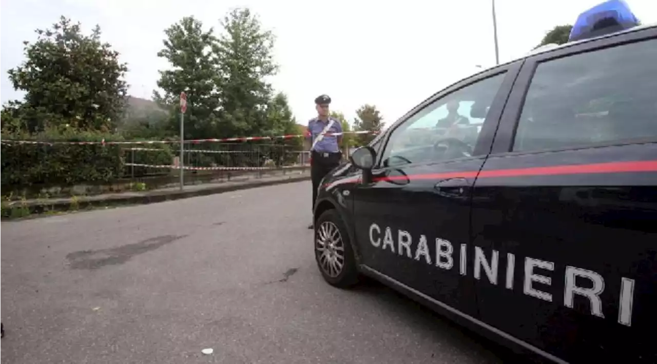 Trento, uccide la vicina di casa a colpi di accetta e si costituisce