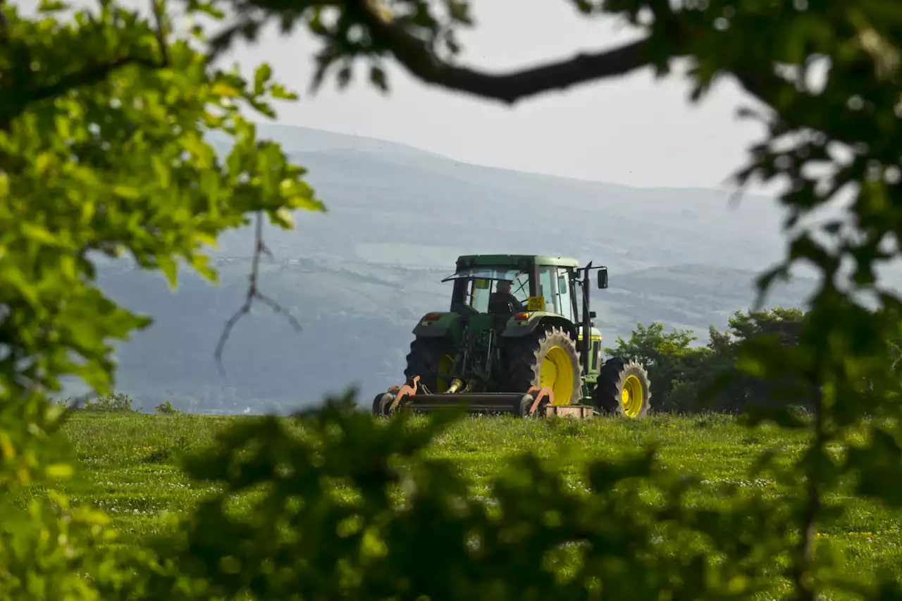 Nearly one third of Irish farmers drinking at 'harmful' levels