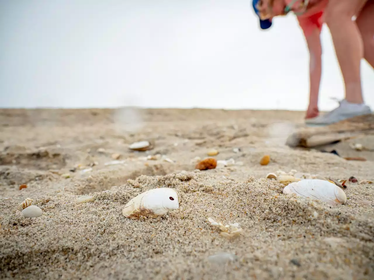 Man dead after being pulled from water on Jersey Shore