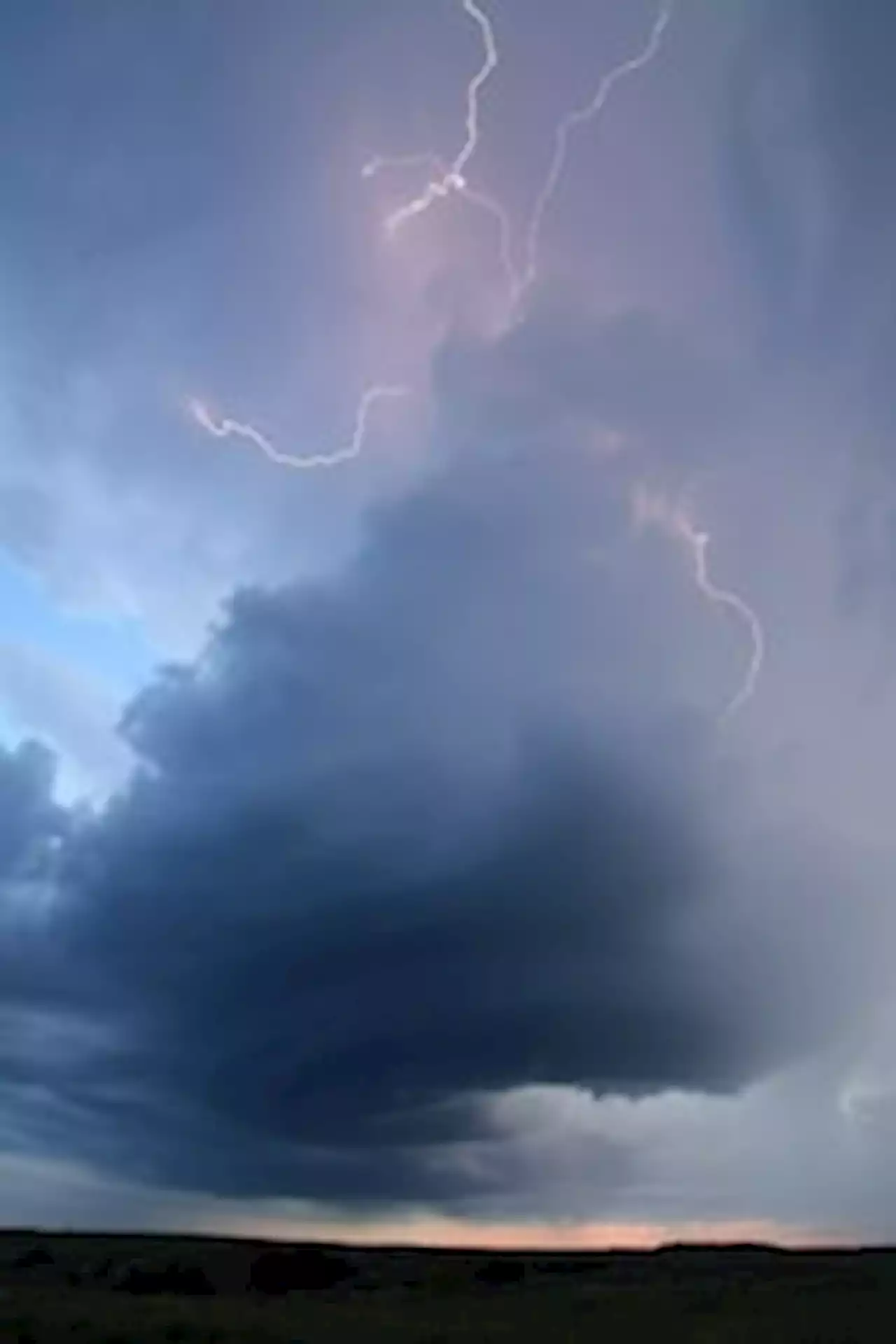 Severe storms topple trees at end of steamy day