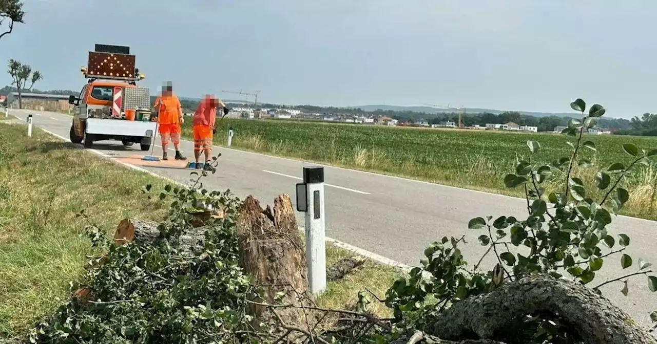 Mutter tötete ihre zwei Töchter: Grausame „Erlösung“