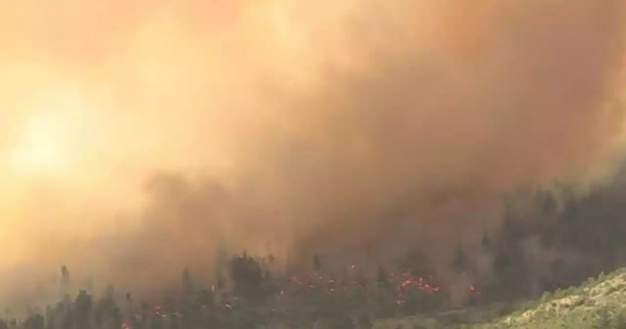 Incendi: due grossi focolai di nuovo attivi sul monte Morrone nell'Aquilano