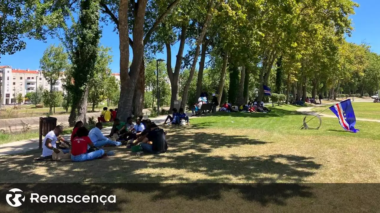 Missa campal em Leiria vai mostrar o que jovens podem levar da JMJ - Renascença