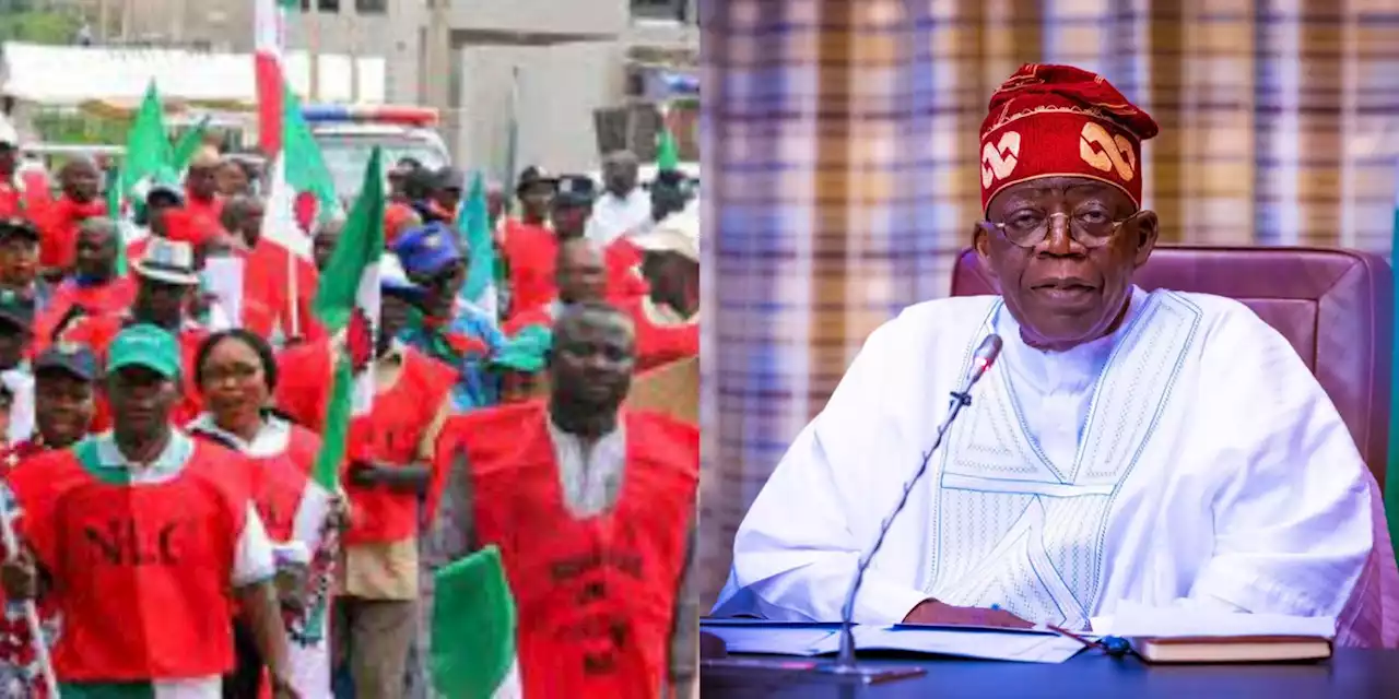 Nigeria Labour Congress Executive Council Endorses August 2 Nationwide Strike, Says Tinubu Must Reverse All Anti-Poor Policies | Sahara Reporters