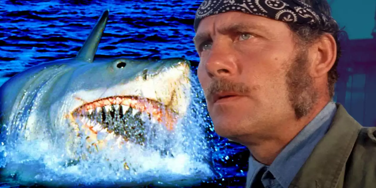 One Iconic Jaws Death Scene Was Nearly Much Longer, Says Steven Spielberg: 'It Was Too Gory'