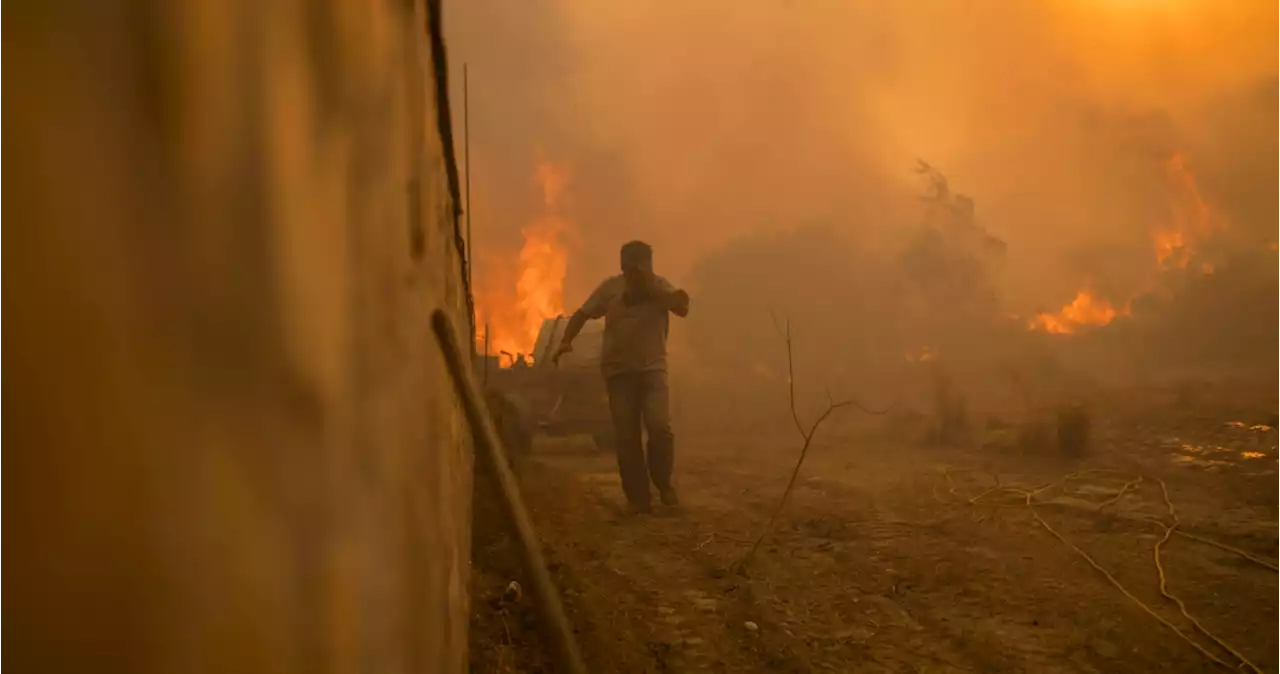 FOTOS: Isla de Rodas, famosa por el turismo, arde tras varias olas de calor en Grecia