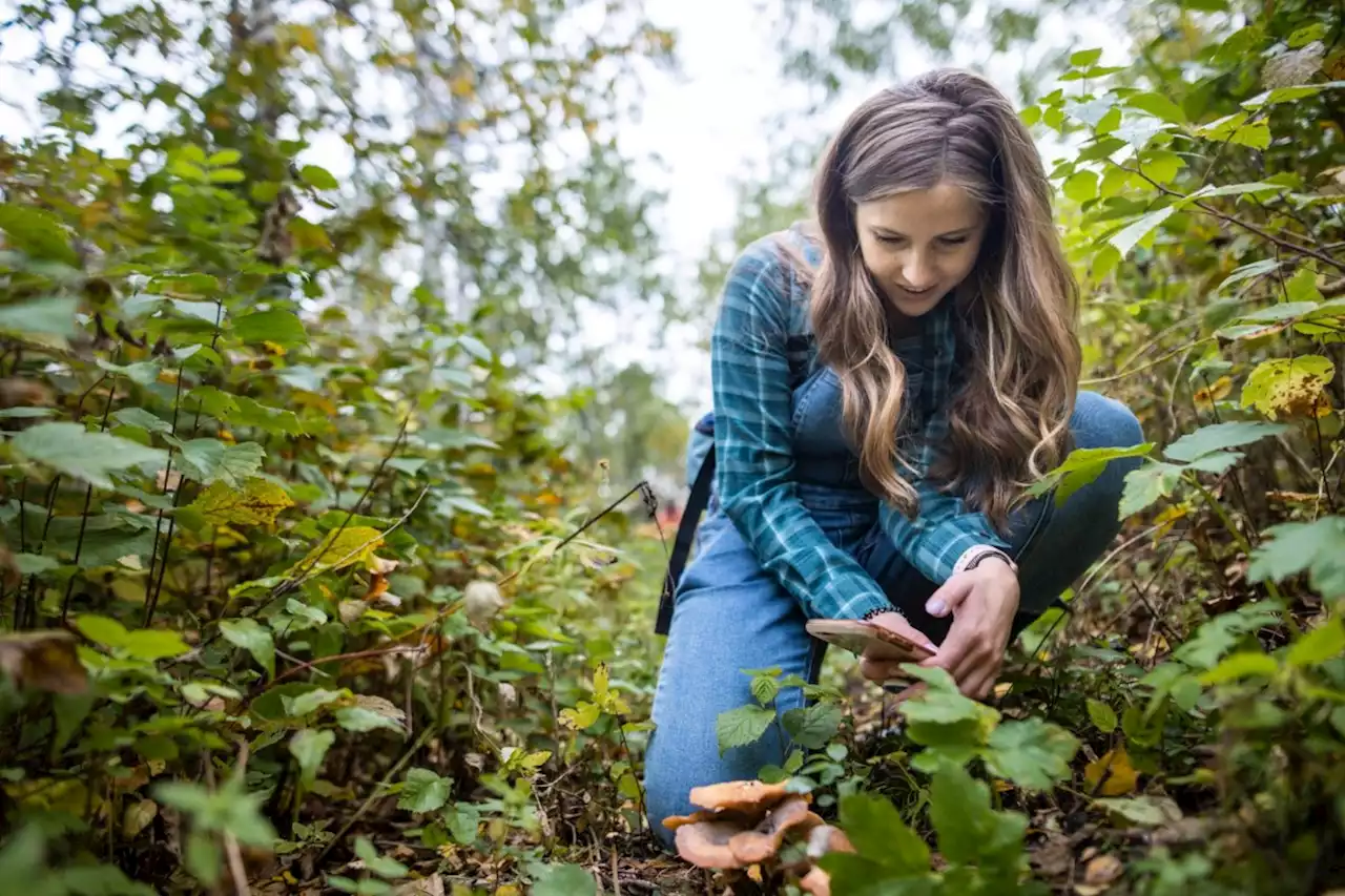 Go on a ‘Backyard BioBlitz’ on the August long weekend