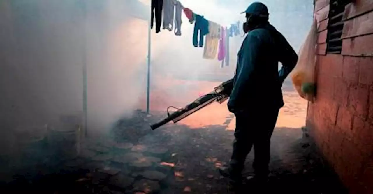Myanmar reports 6,685 dengue cases, gears up to combat Dengue virus