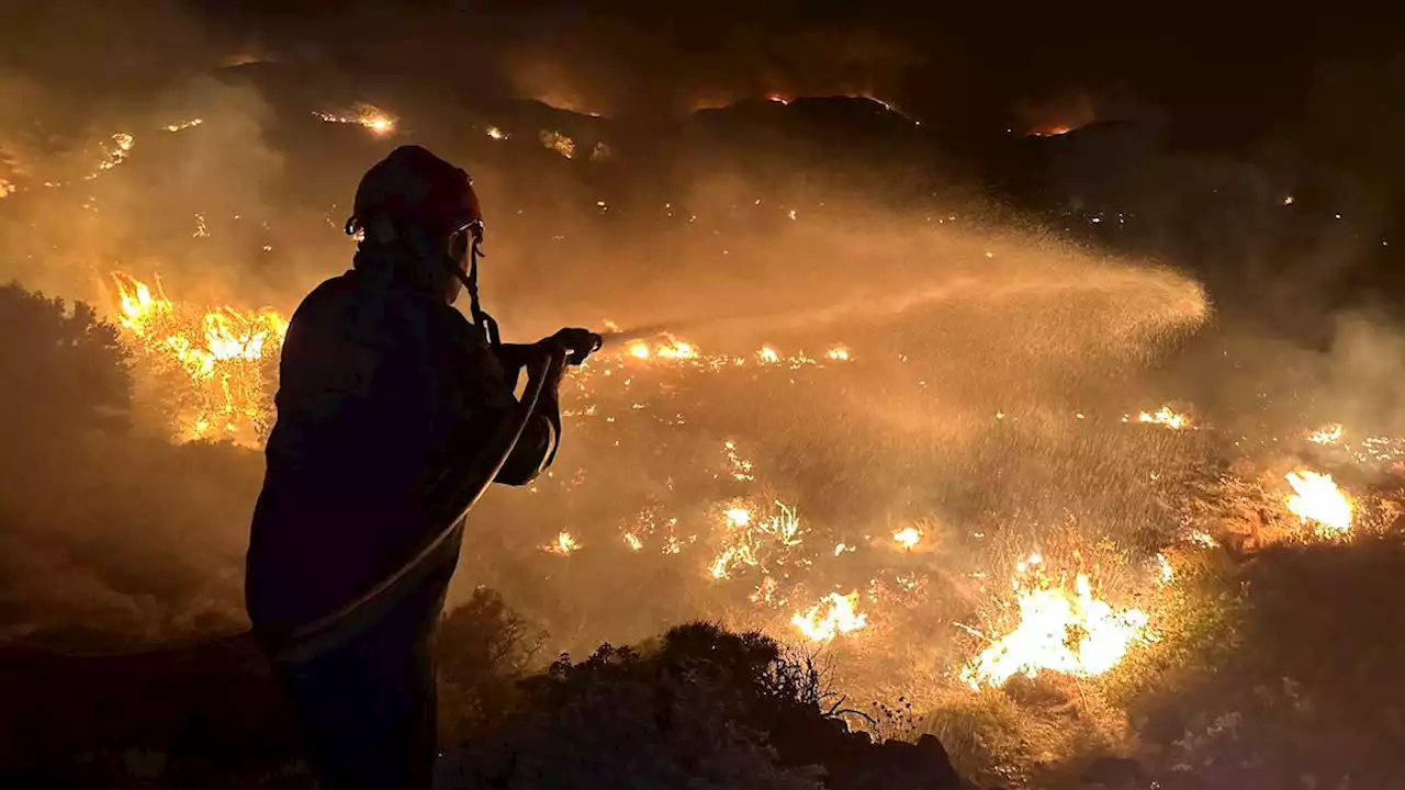 Danske politikere med klimaopråb: - Det ligner jo starten på en katastrofefilm