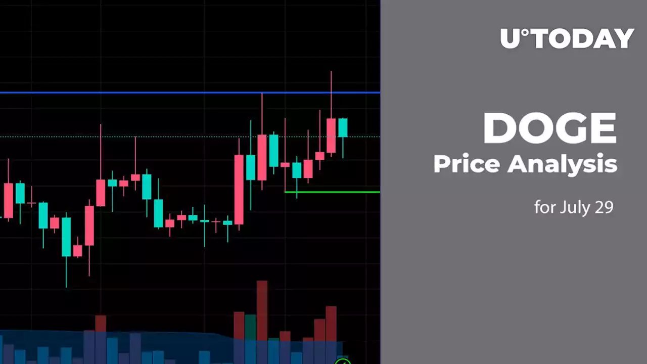 DOGE Price Analysis for July 29