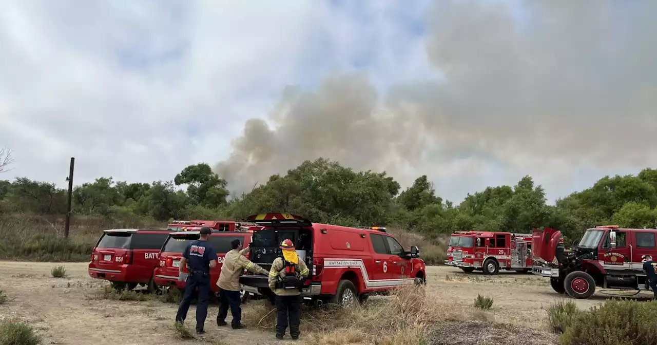 Fire crews staying on scene overnight to mop up South Bay vegetation fire