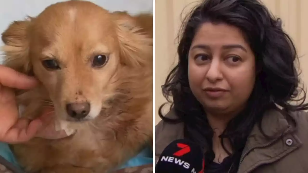 Melbourne mum thought she was going to die in dog attack