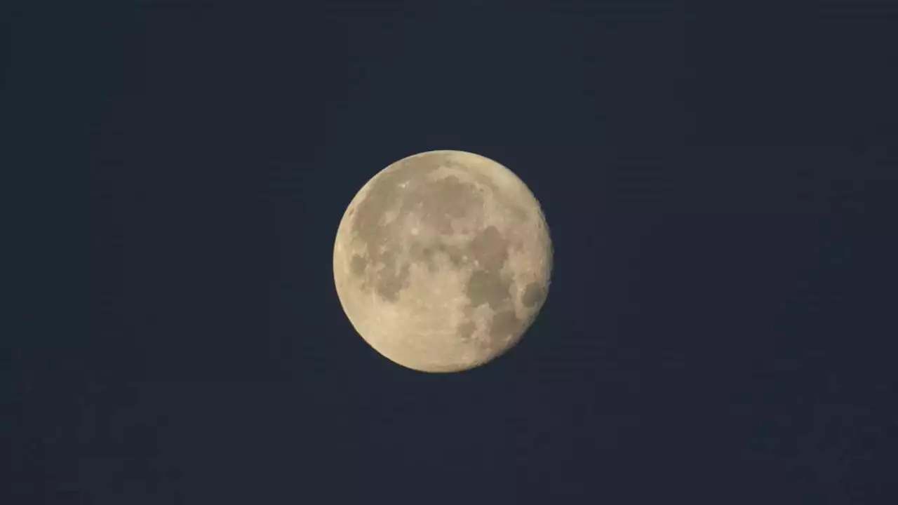 First supermoon of 2023 set to light up Australian skies