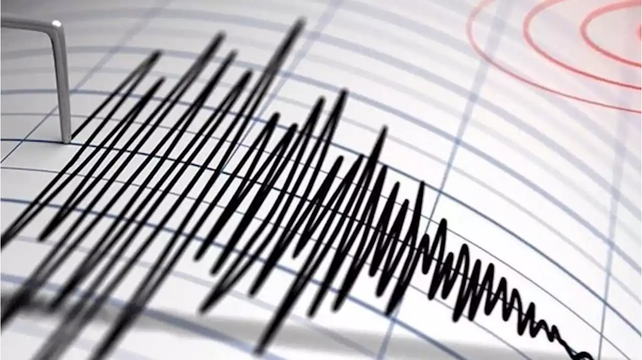زلزال بقوة 6.2 درجة يهز إقليم بابوا بإندونيسيا