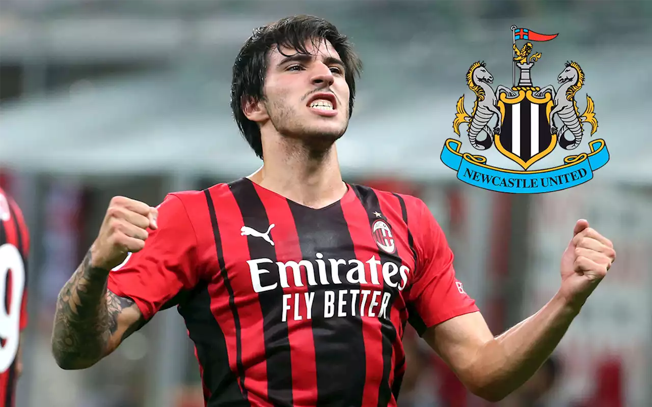 Premier League: Newcastle anuncia fichaje del italiano Sandro Tonali