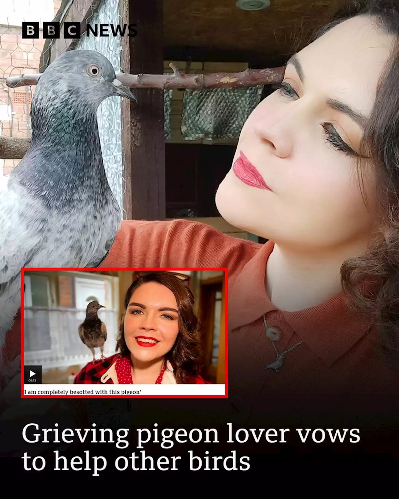 Grieving pigeon lover vows to help other birds