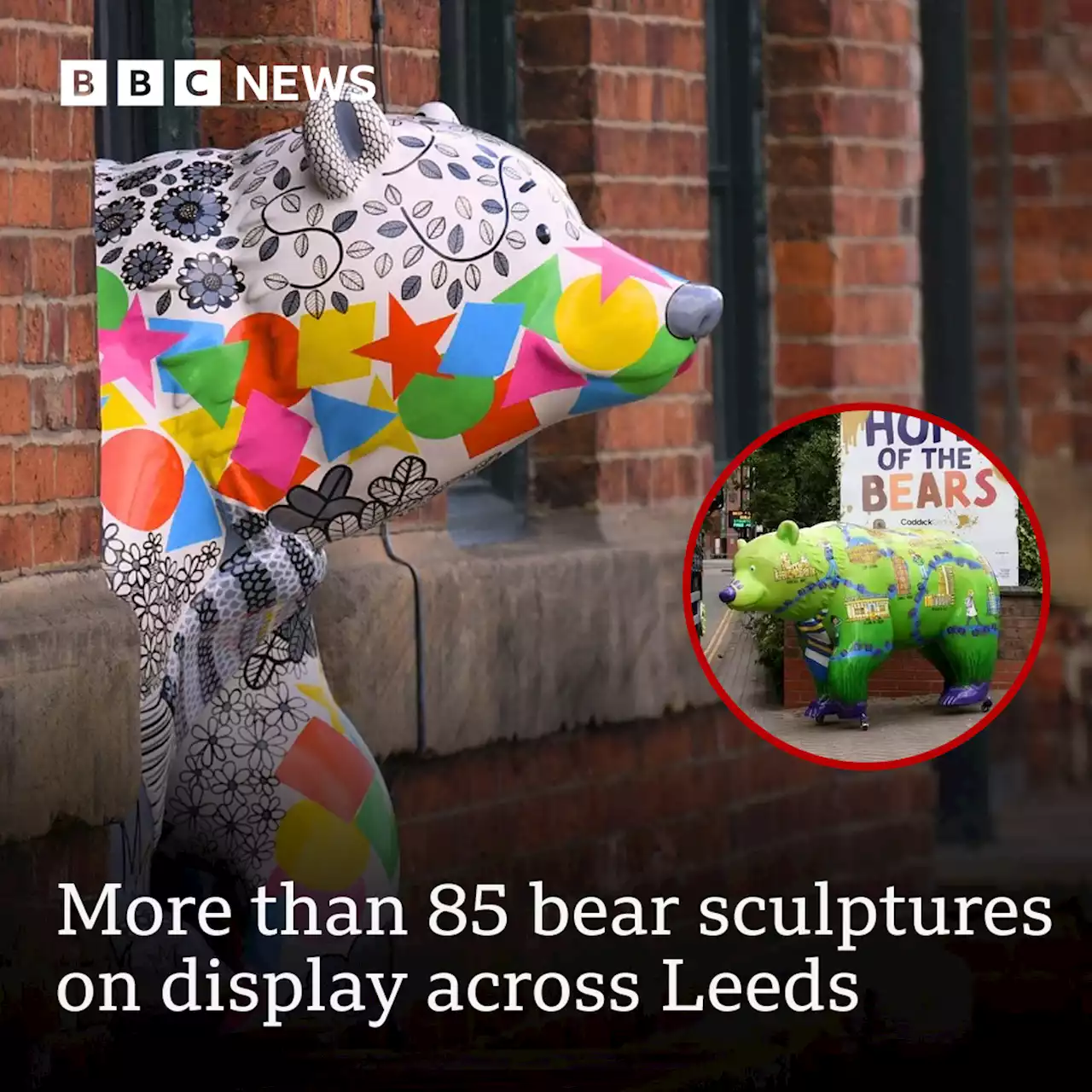 Leeds life-sized bear sculptures art trail goes on display