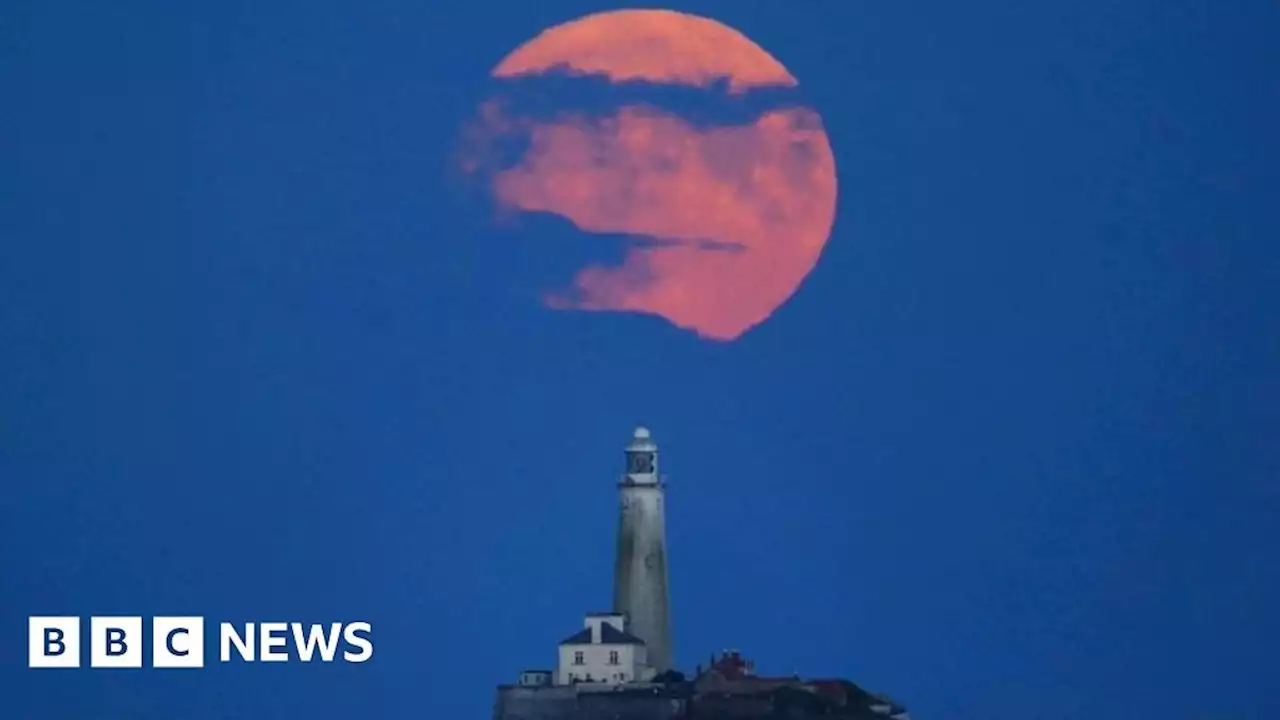 Buck Moon: July supermoon to appear brighter than usual in the sky this week