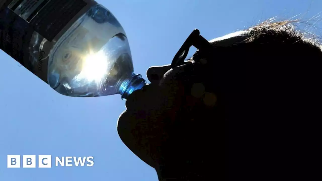 UK weather: hottest June since records began - Met Office