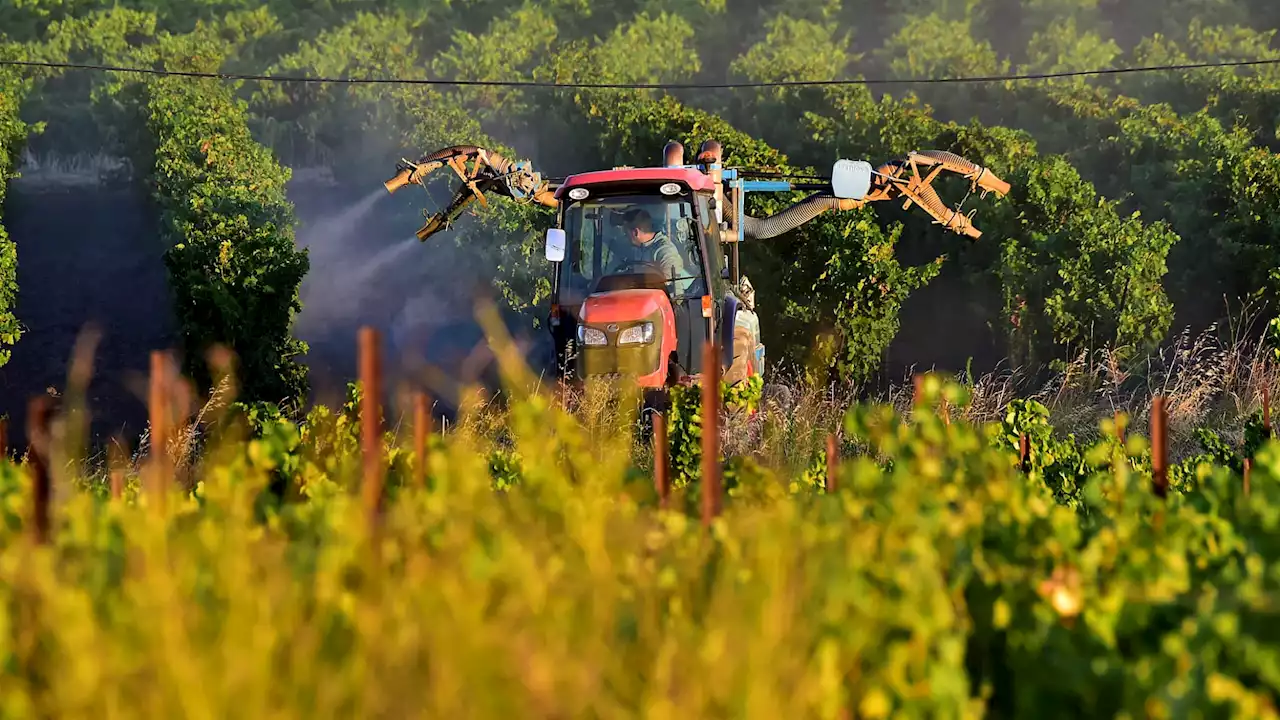 Pacte vert: Bruxelles lance la bataille autour des 'nouveaux OGM'