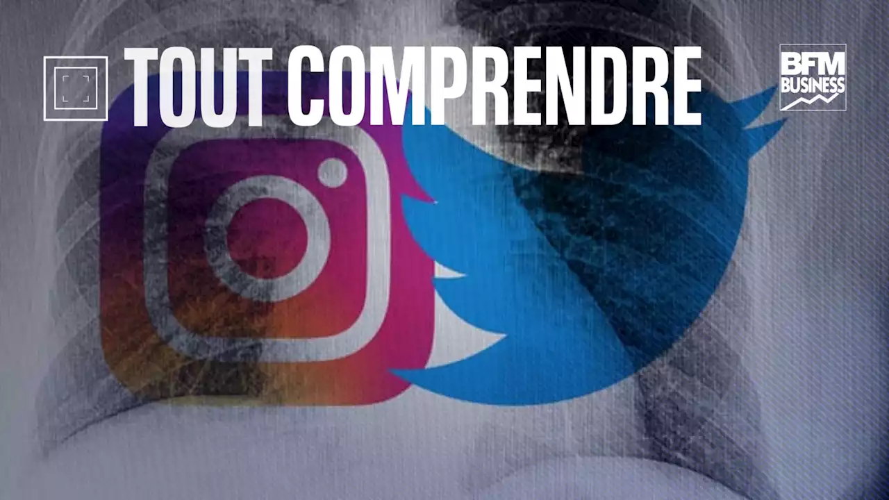 TOUT COMPRENDRE - Comment Meta compte profiter du chaos Twitter avec Threads, son réseau social concurrent