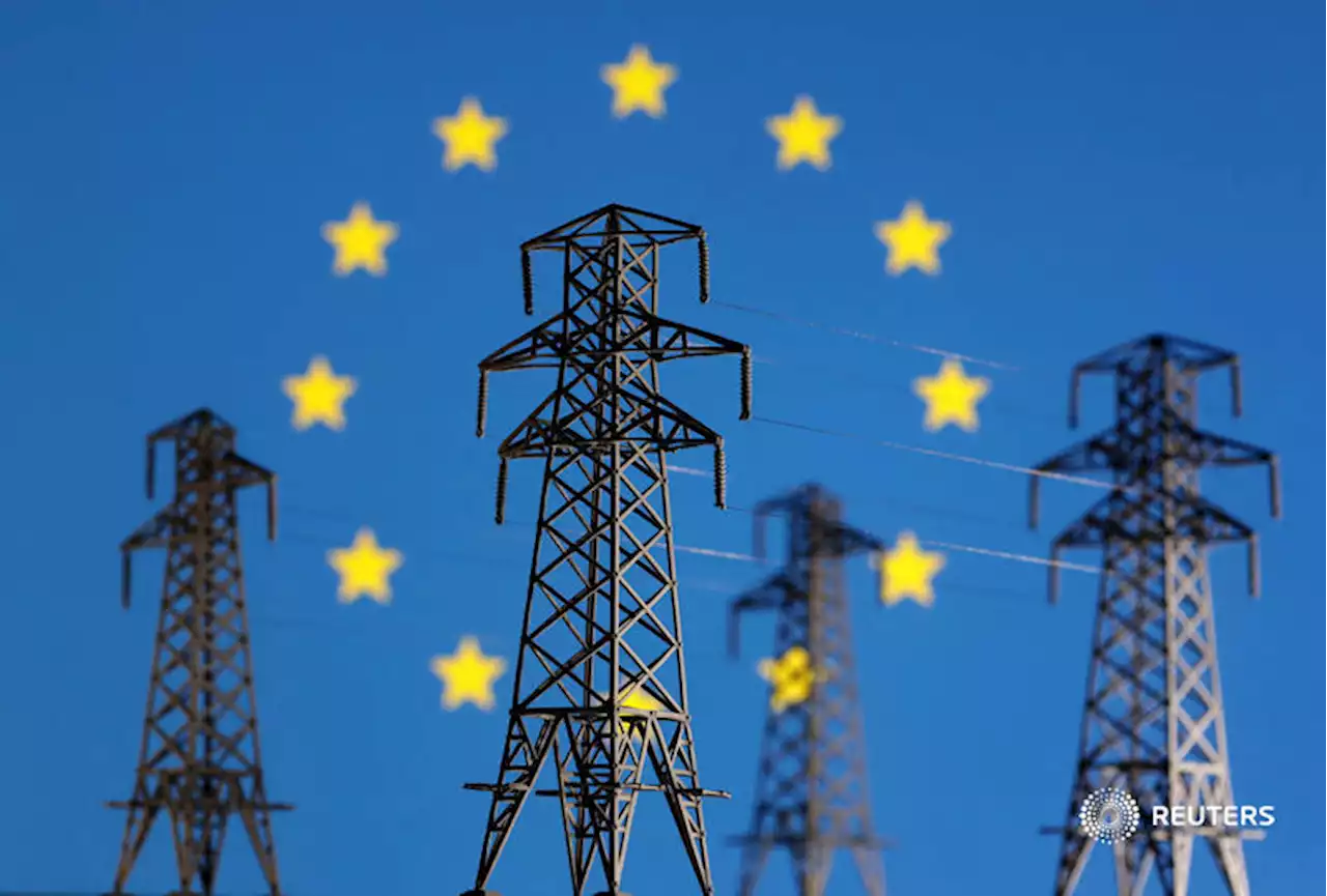 EU green finance standard may play second fiddle