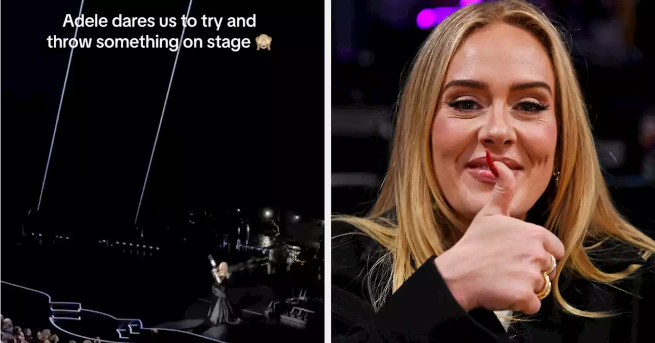 Adele Hilariously Went Off On People Participating In The 'Throwing Crap At Pop Stars' Trend