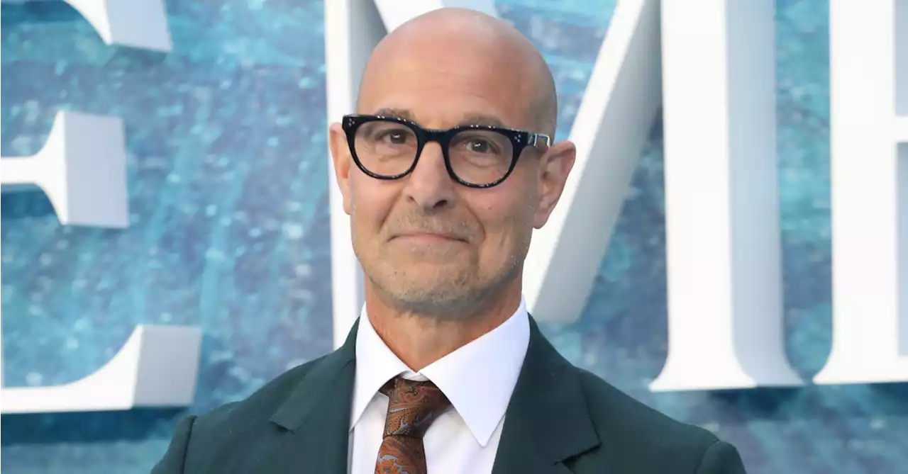 Stanley Tucci Doesn't See A Problem With Straight Actors Portraying Gay Characters On Screen — As Long As It's Done Right