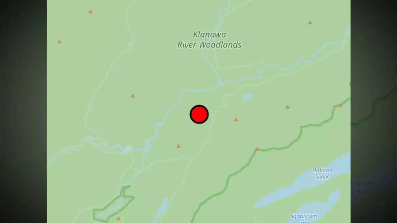 New wildfire east of Bamfield is Vancouver Island's only out-of-control blaze