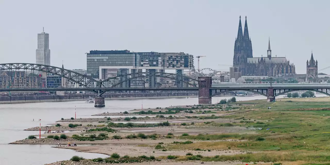 Wie die deutsche Industrie dem Niedrigwasser-Rhein trotzt