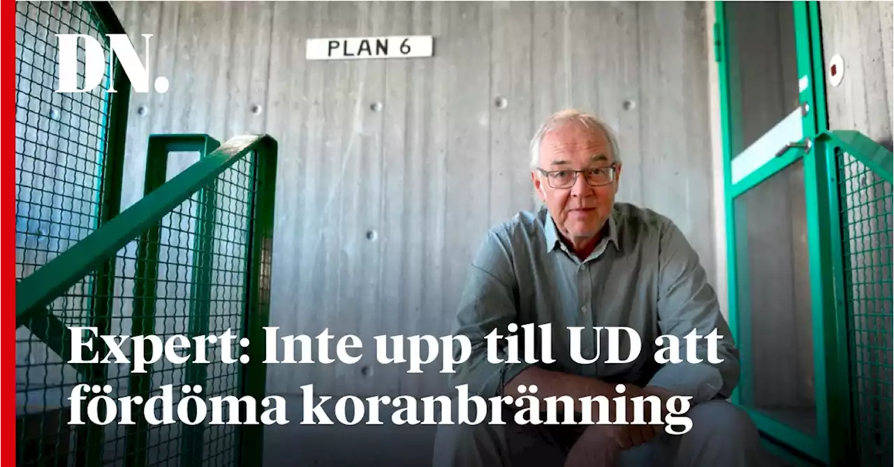 Expert: Inte upp till UD att fördöma koranbränning