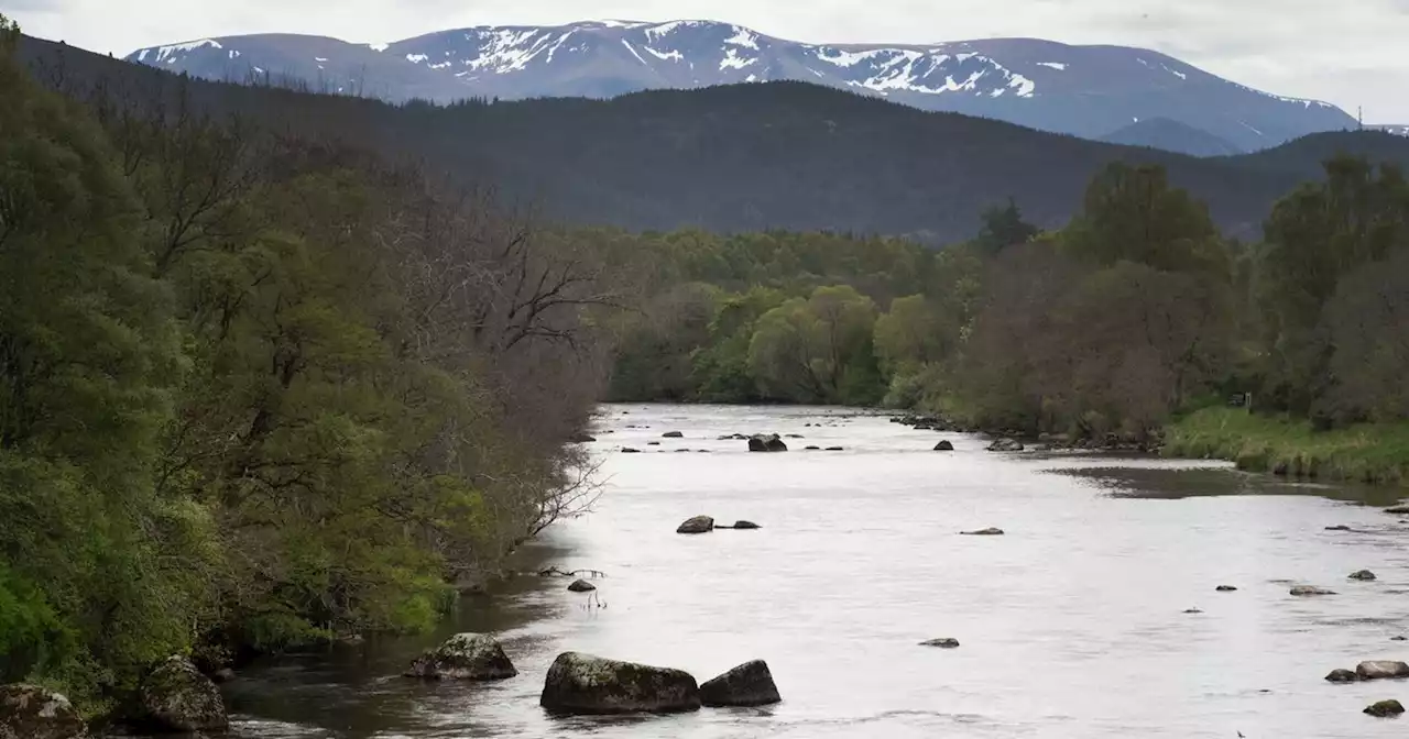 Hottest June on record killed 'unprecedented' numbers of fish in rivers