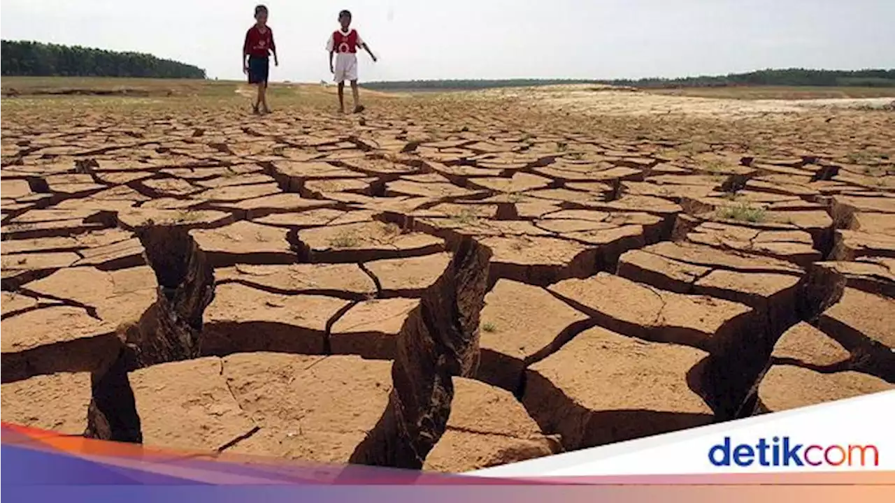 El Nino Picu Kemarau Panjang, Jokowi Minta Menteri Waspada