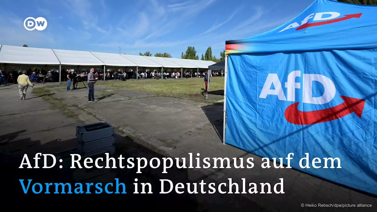 AfD: Rechtspopulismus auf dem Vormarsch in Deutschland – DW – 03.07.2023