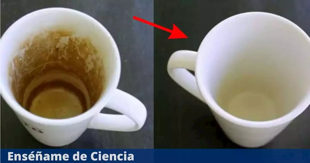 Los 2 mejores trucos para eliminar las manchas amarillas de las tazas