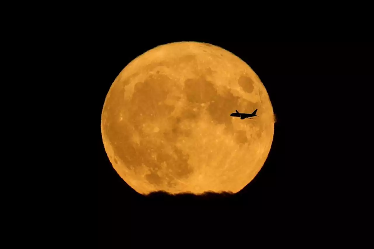 Plus grosse, plus lumineuse, on vous explique tout sur 'la Super lune' qui va éclairer le ciel ce lundi soir