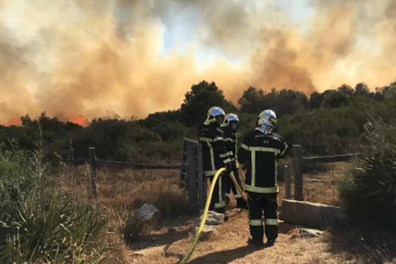 Risque incendie très élevé sur une partie du département de l'Hérault, les pompiers appellent à la vigilance