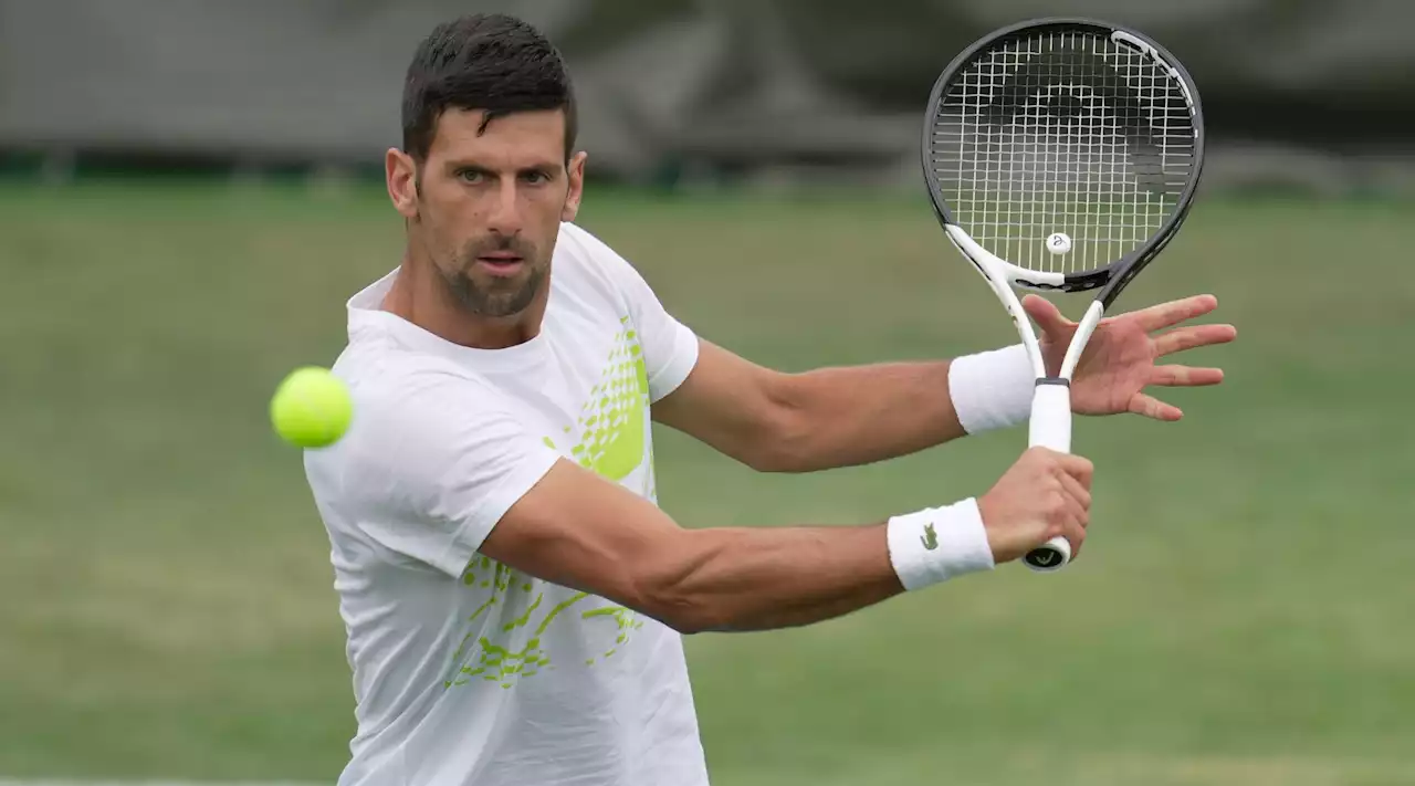 Så går det i Wimbledon - Fokus